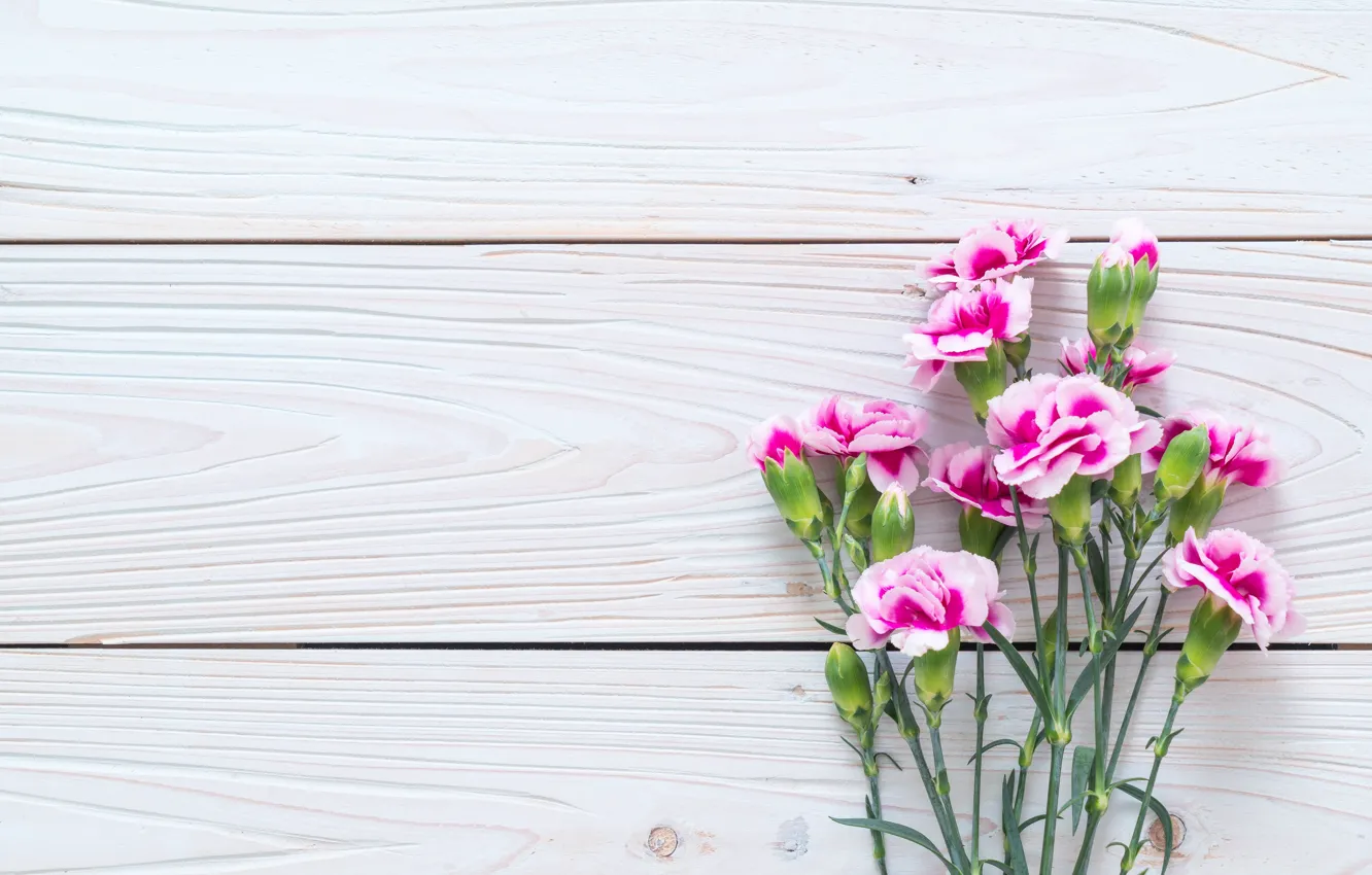 Фото обои цветы, розовые, wood, pink, гвоздика, flowers