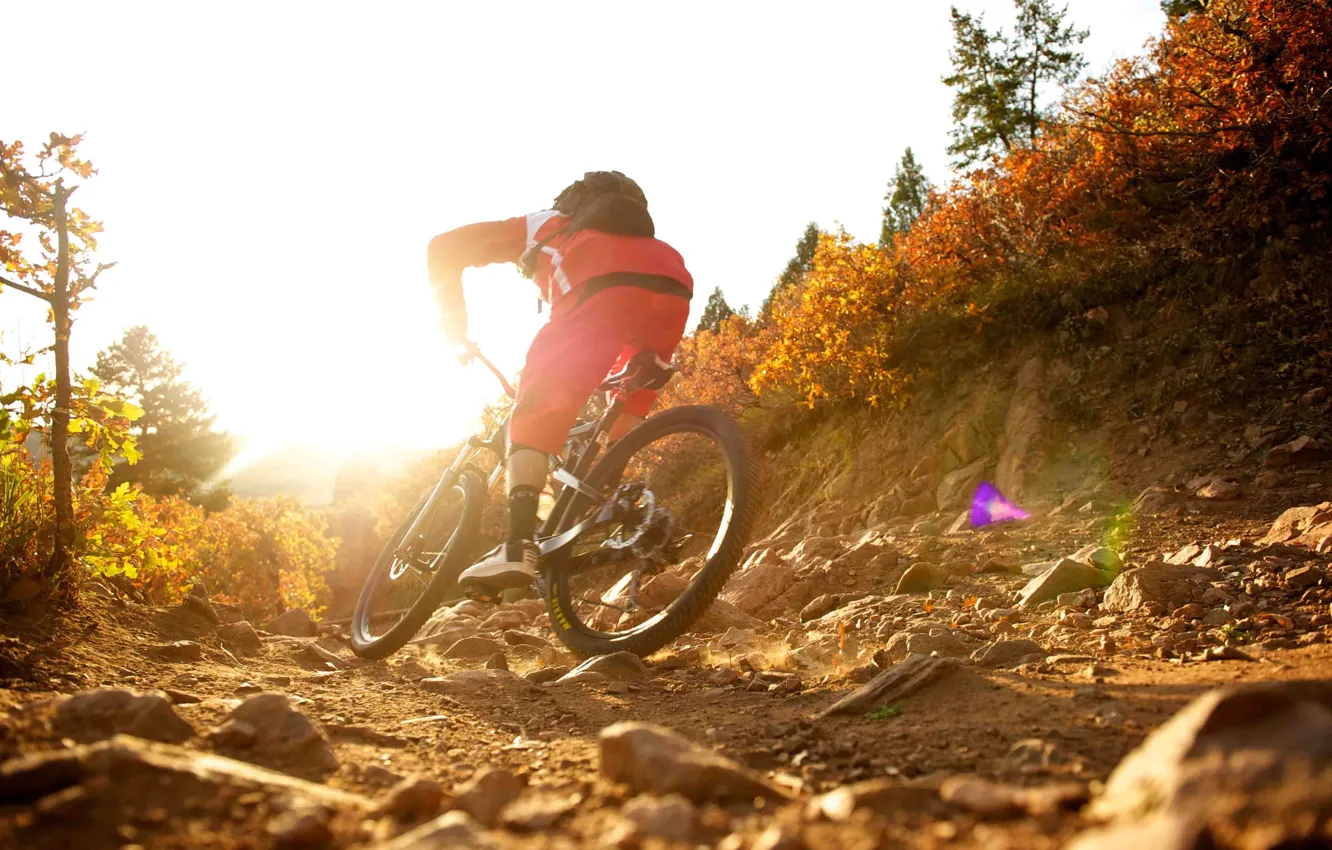 Фото обои природа, спортсмен, велоспорт, mountain bike