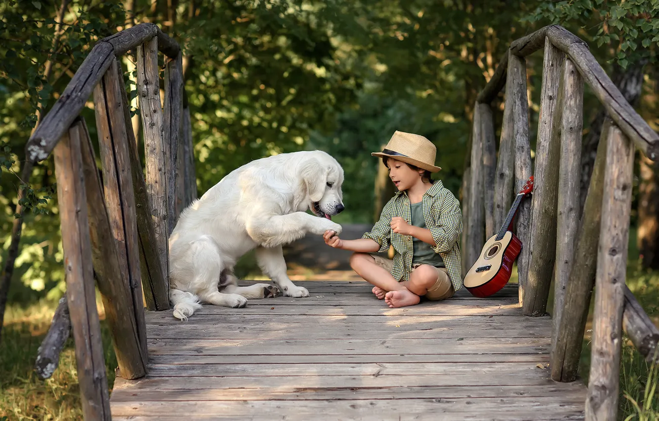 Фото обои животное, гитара, собака, мальчик, мостик, друзья, ребёнок, пёс