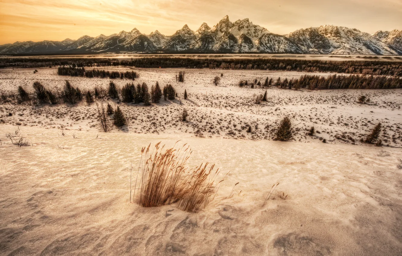 Фото обои зима, снег, горы, США, горный хребет, панорамма