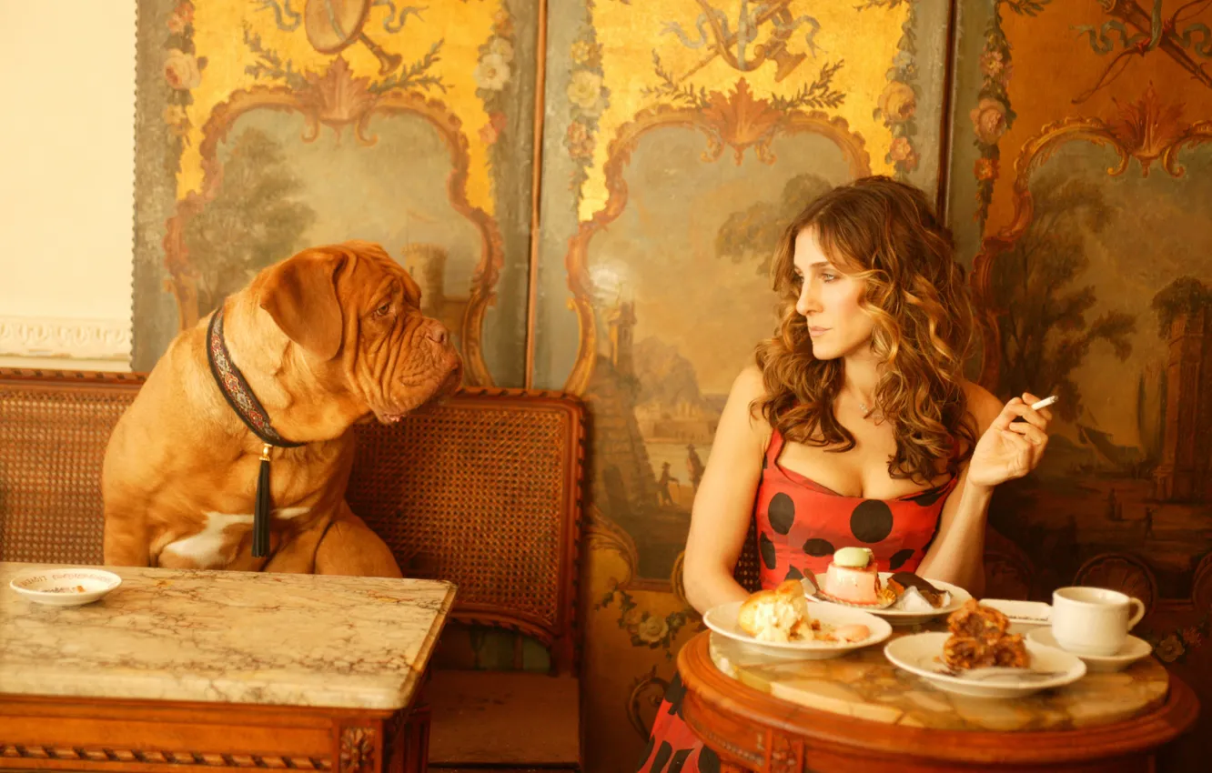 Фото обои девушка, фильм, собака, кафе