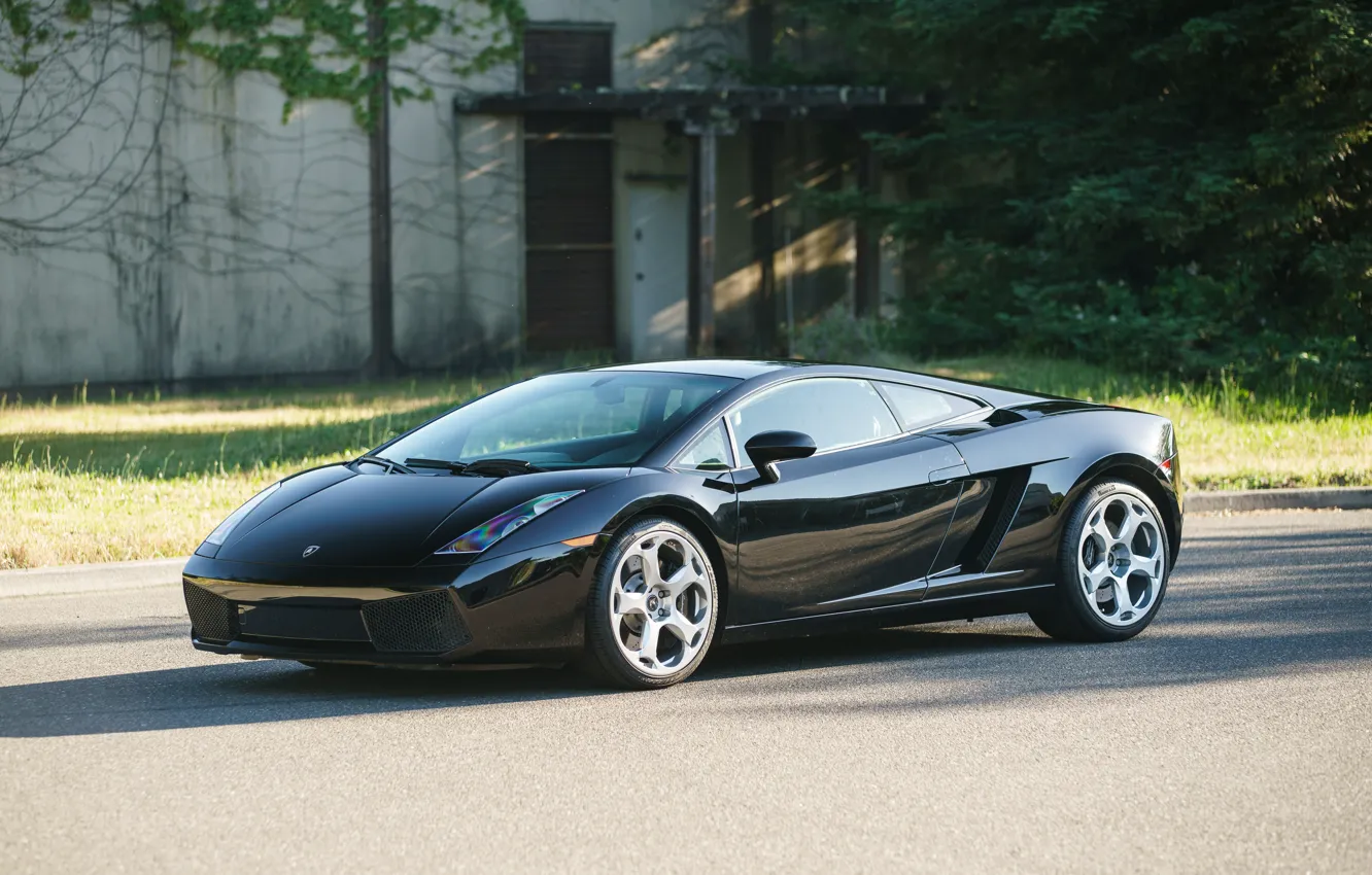 Фото обои Lamborghini, Gallardo, black, Lamborghini Gallardo