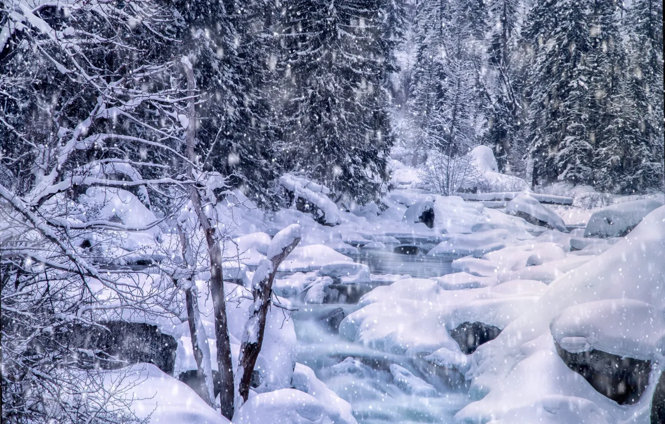 Фото обои зима, снег, пейзаж, природа, парк, красота, снег идёт
