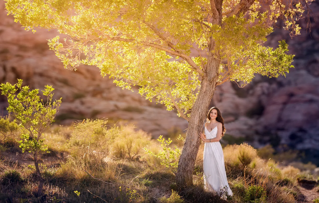 Фото обои девушка, свет, природа, дерево