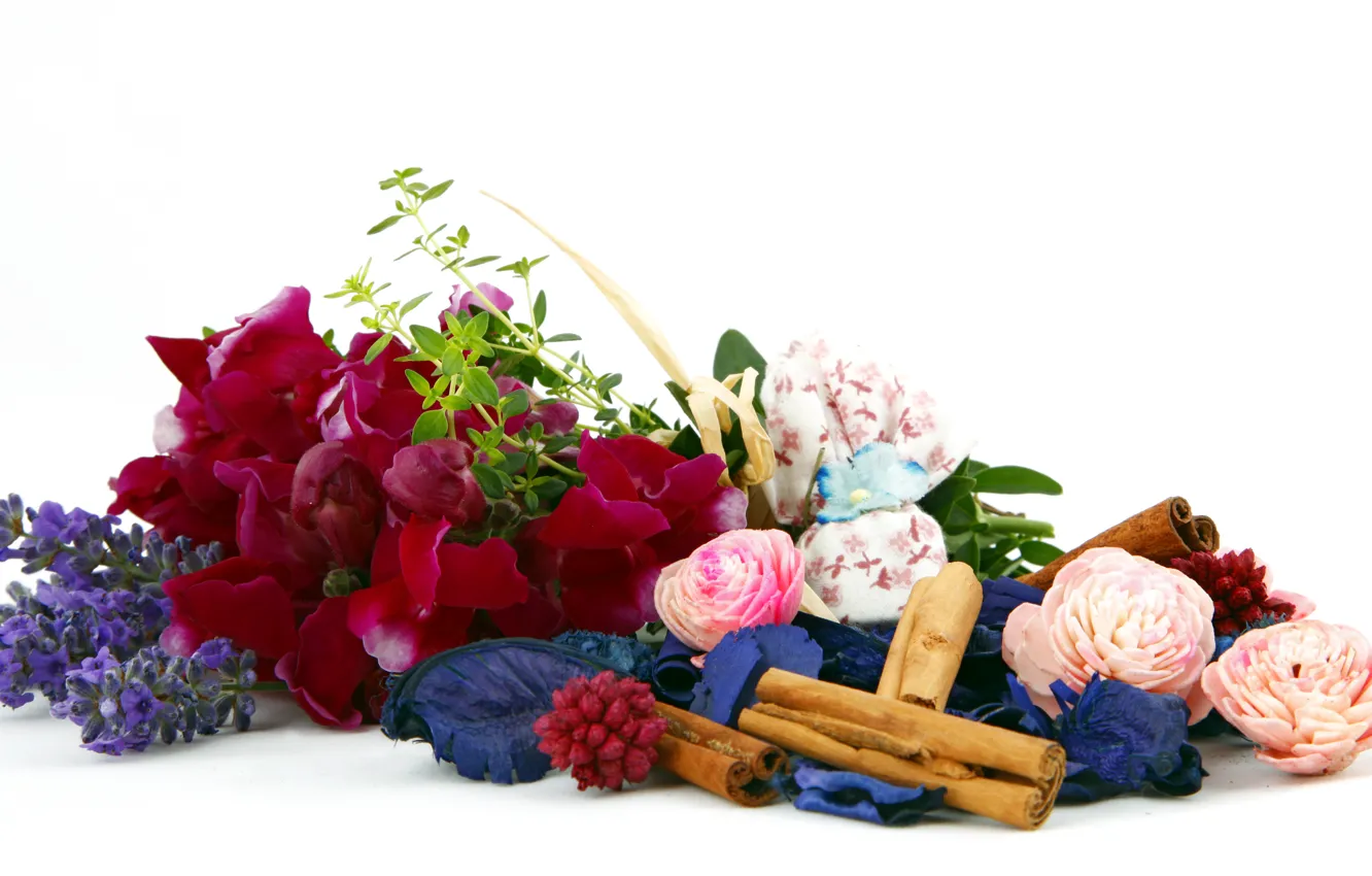 Фото обои цветы, корица, спа, специи, благовония