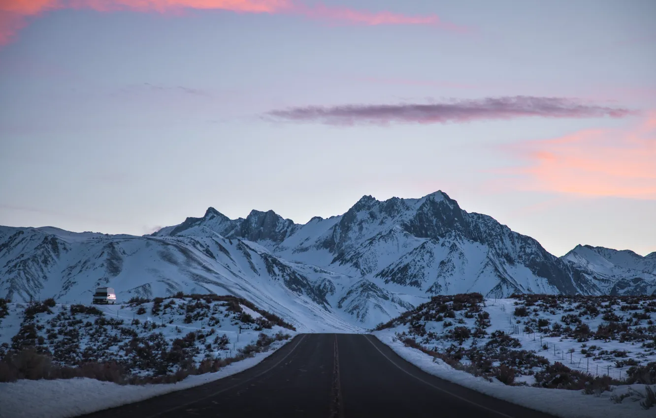 Фото обои зима, дорога, снег, деревья, пейзаж, forest, road, trees
