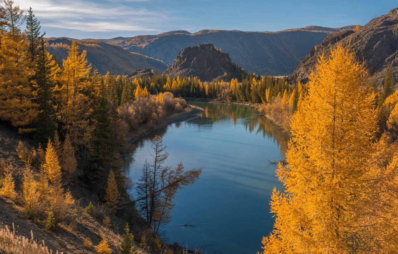 Фото обои осень, пейзаж, горы, природа, река, леса, Алтай, Чуя