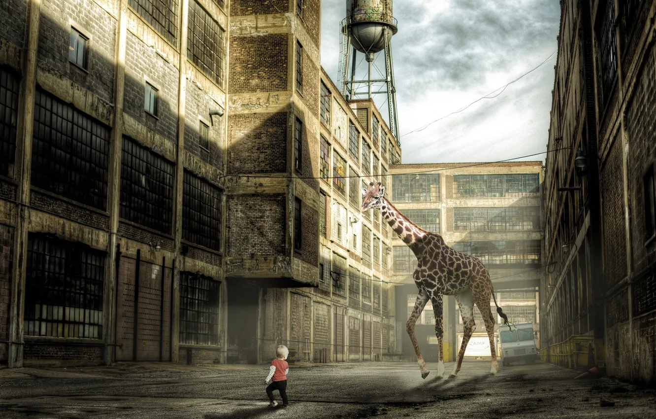 Фото обои ситуация, мальчик, монтаж, жирафа