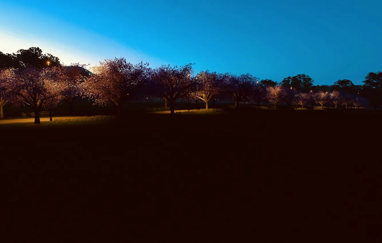 Фото обои HDR, Sky, Lights, Spring, Game, Trees, Lamps, UHD