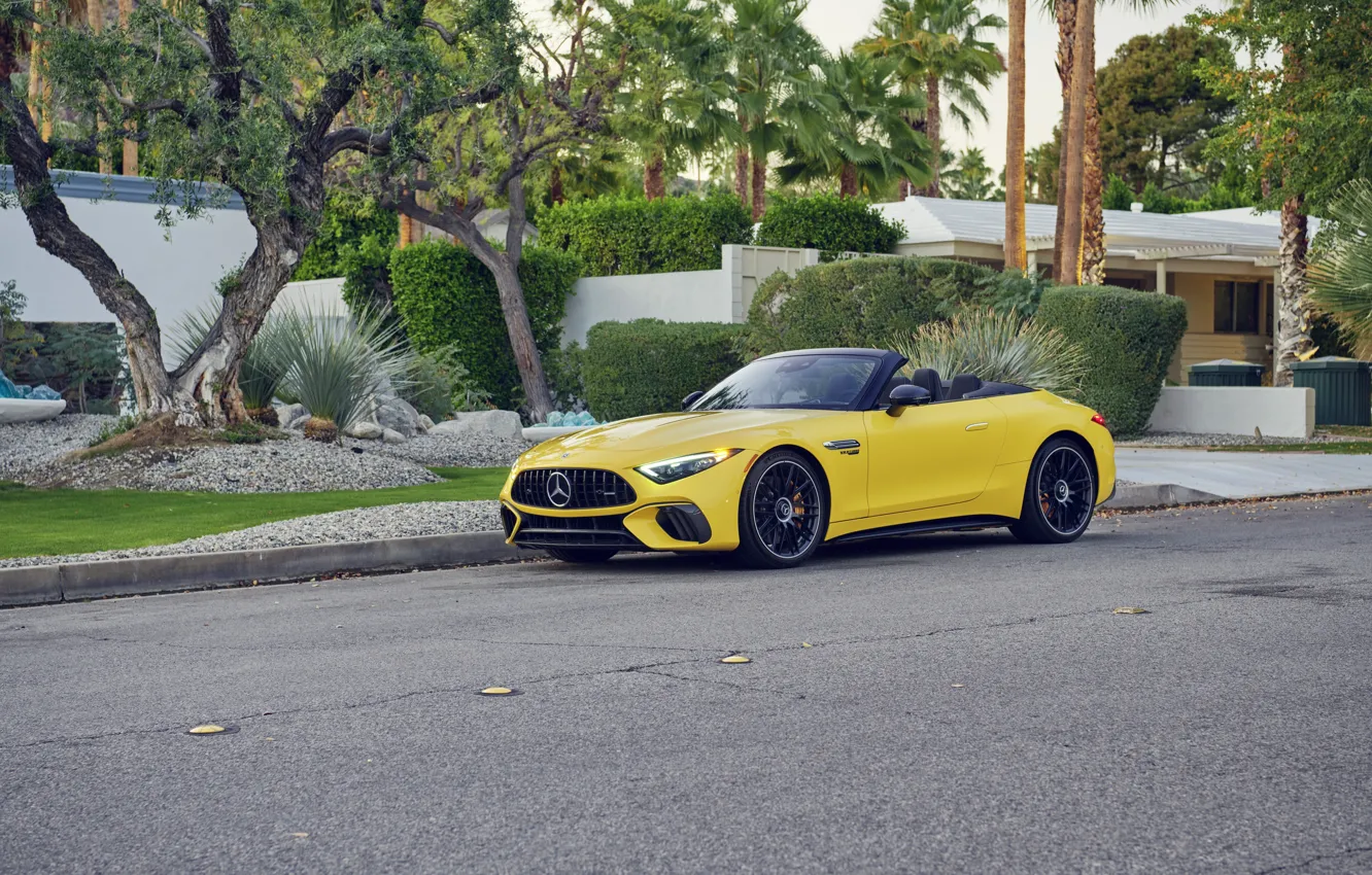 Фото обои car, Mercedes-Benz, Mercedes, trees, palms, Mercedes-AMG, Mercedes-AMG SL 63