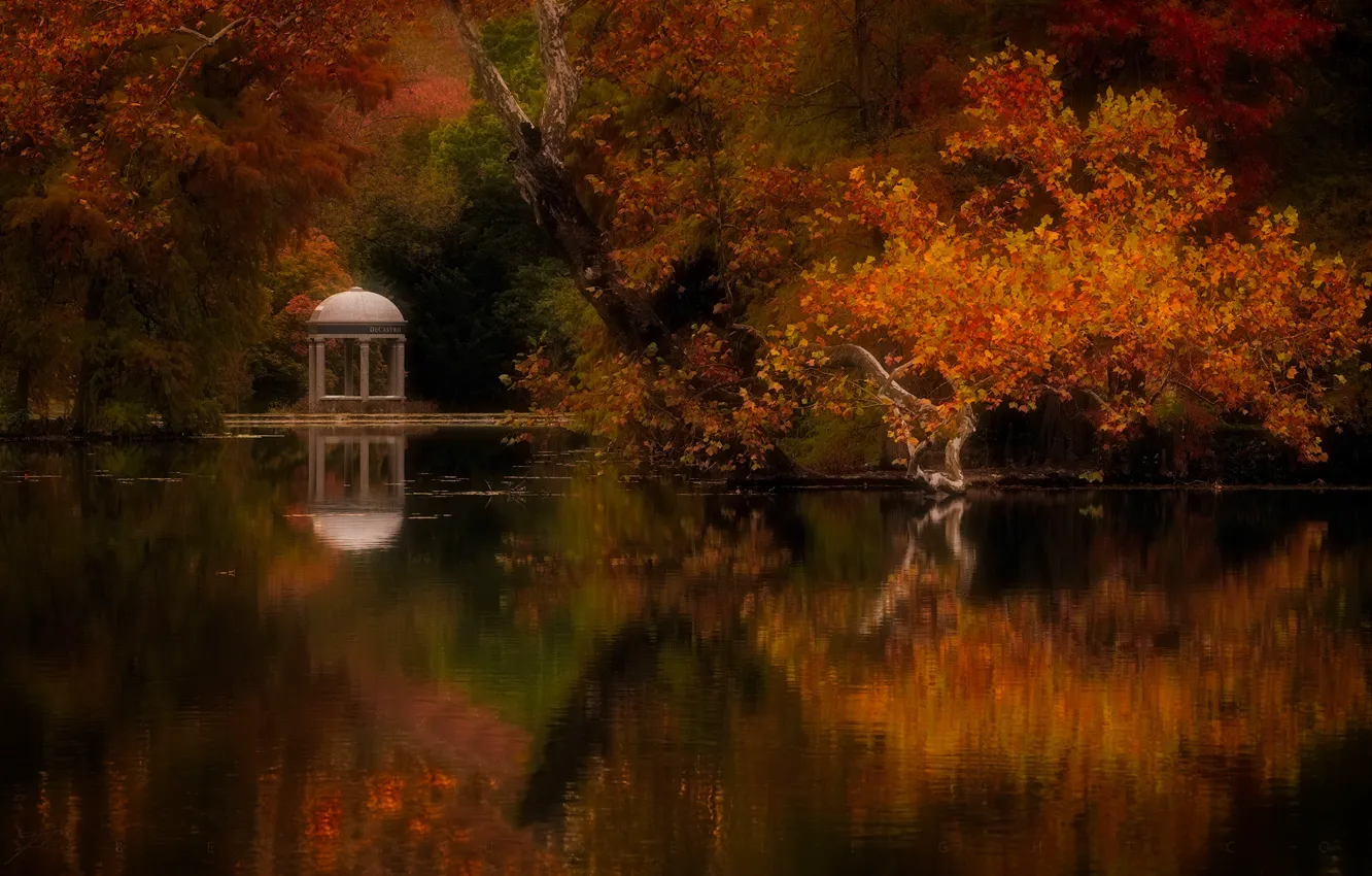 Фото обои осень, деревья, пейзаж, природа, пруд, парк, беседка