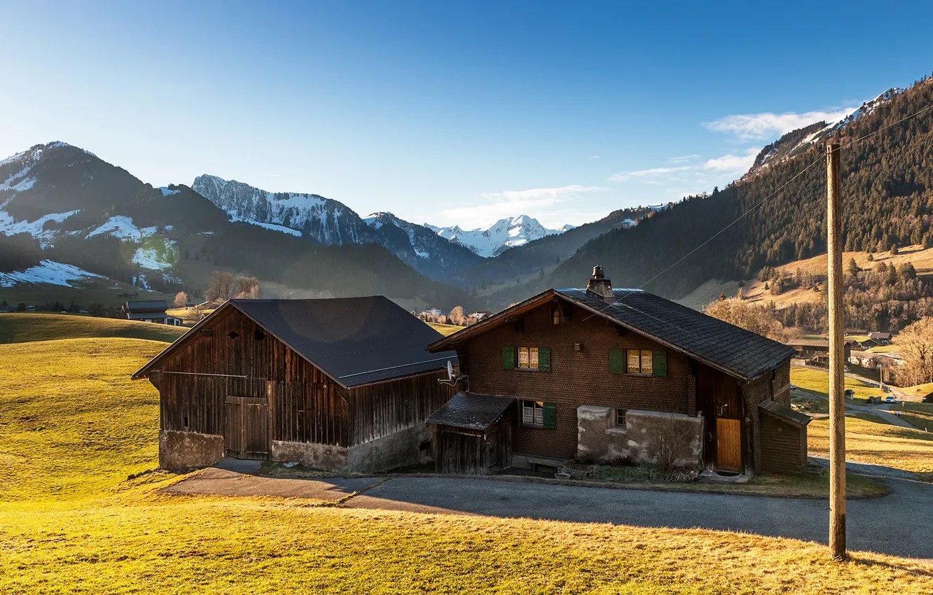 Фото обои поле, лес, небо, солнце, деревья, горы, природа, Швейцария