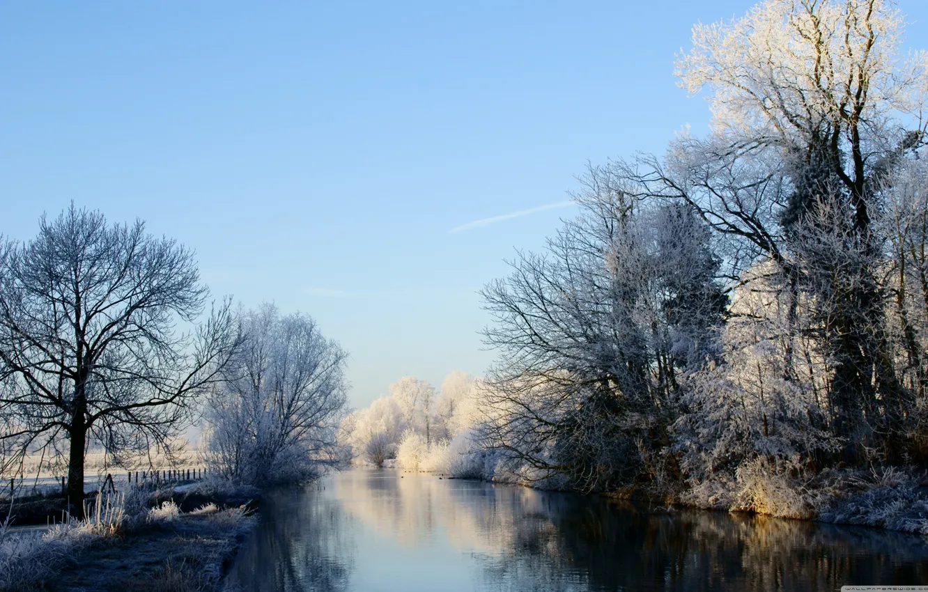 Фото обои лед, иней, небо, деревья, река, Зима, ограда