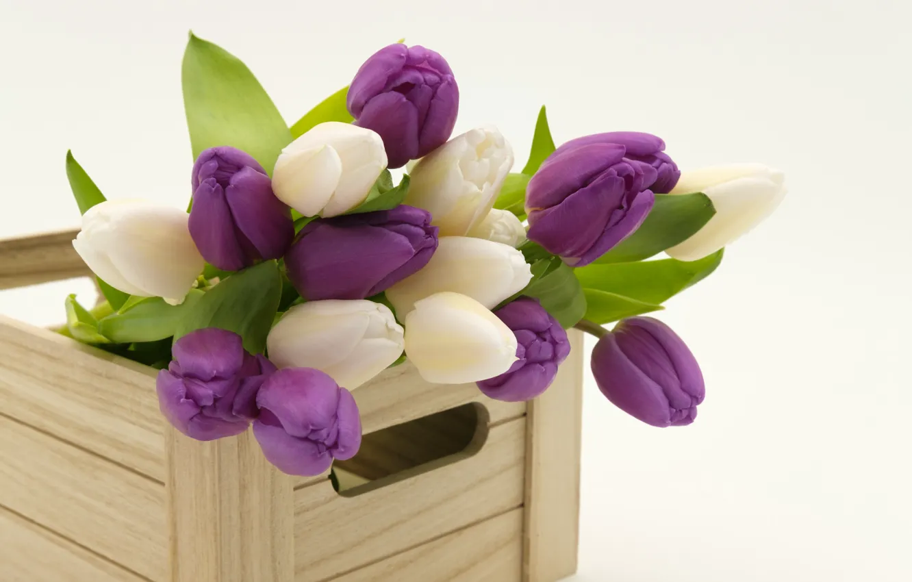 Фото обои букет, весна, тюльпаны, деревянный ящик
