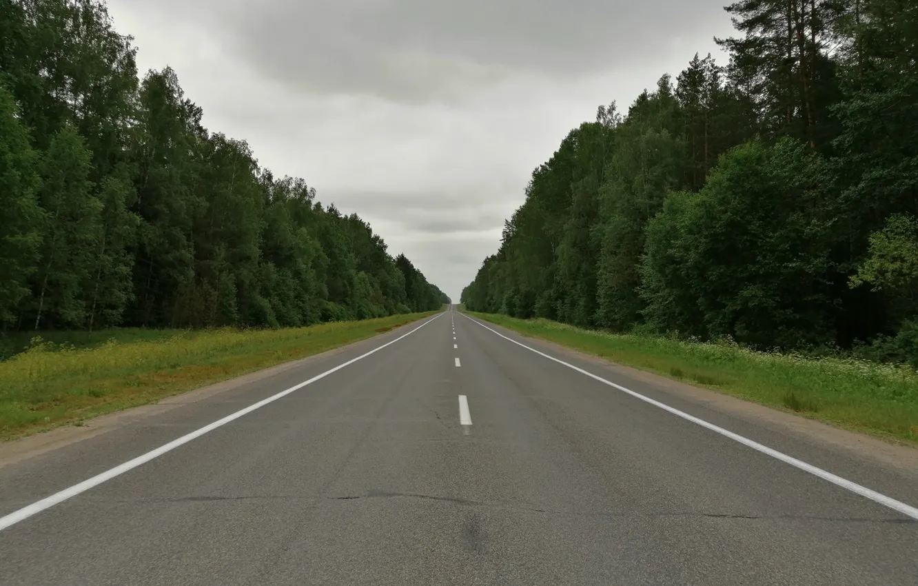 Фото обои дорога, лето, асфальт, пейзаж, Беларусь