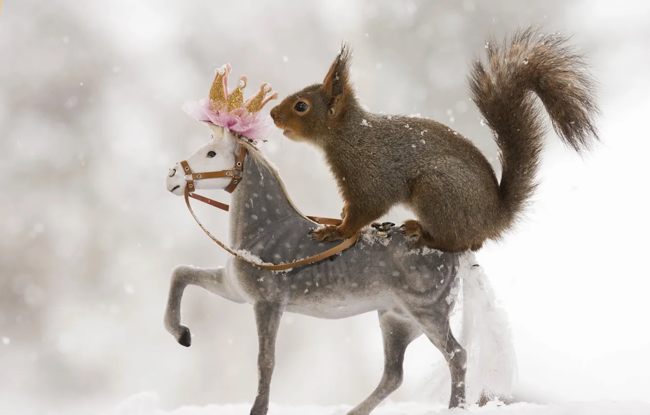 Фото обои зима, снег, животное, игрушка, белка, зверёк, грызун, лошадка