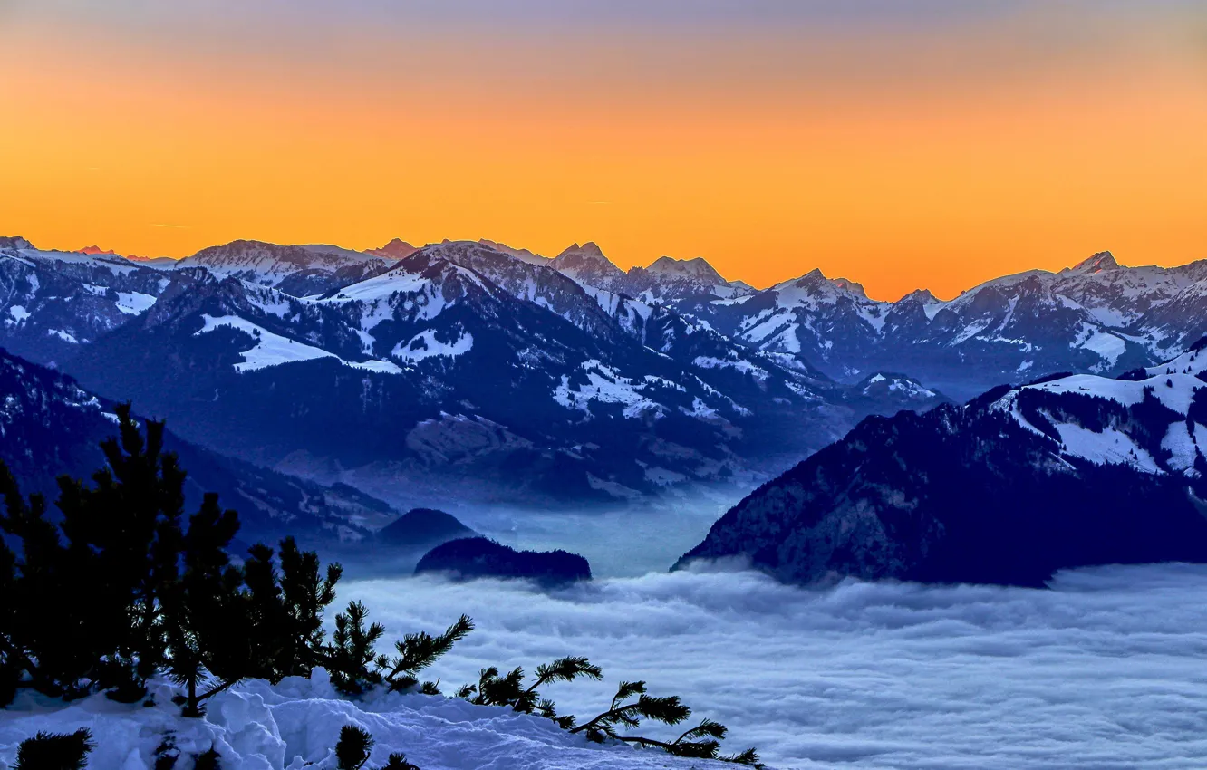 Фото обои снег, закат, горы, Швейцария, Switzerland, Bernese Alps, Бернские Альпы