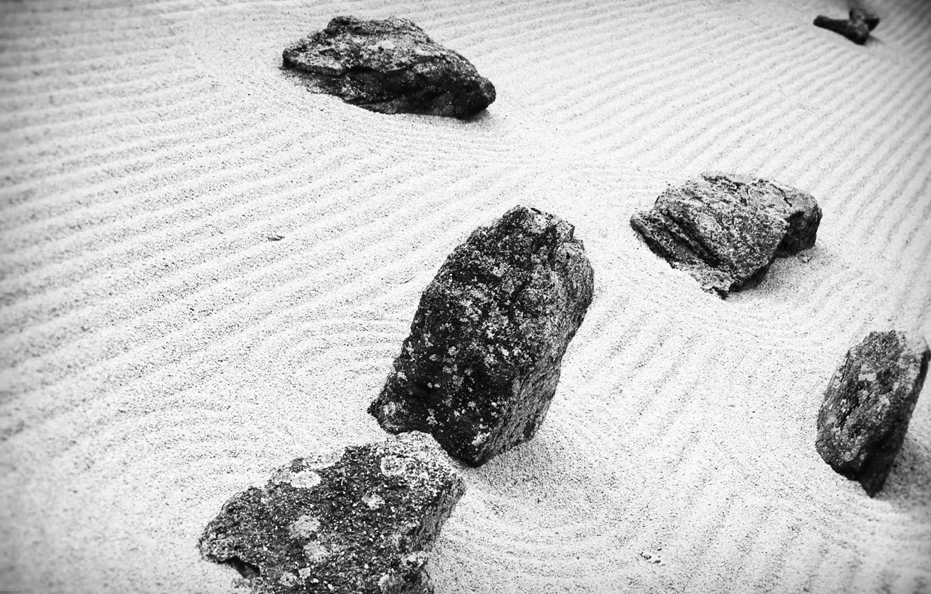 Фото обои песок, камни, черно-белая