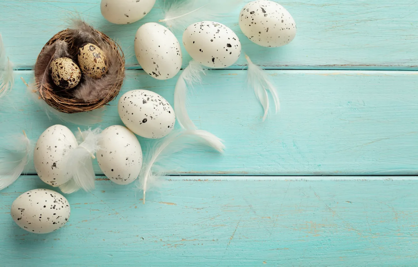 Фото обои яйца, перья, Пасха, гнездо, лента, happy, wood, spring