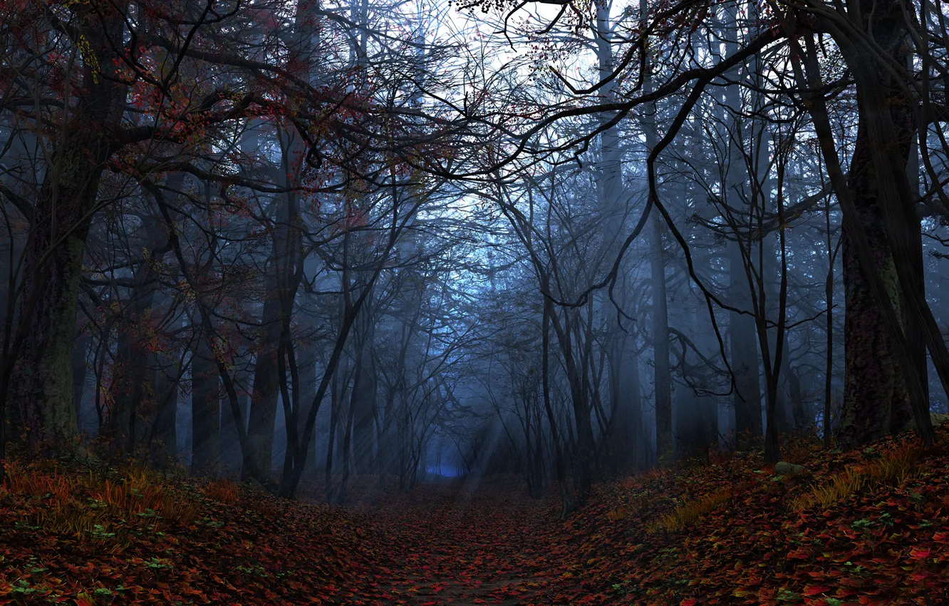 Фото обои осень, лес, листья, лучи, графика, digital, Elegy