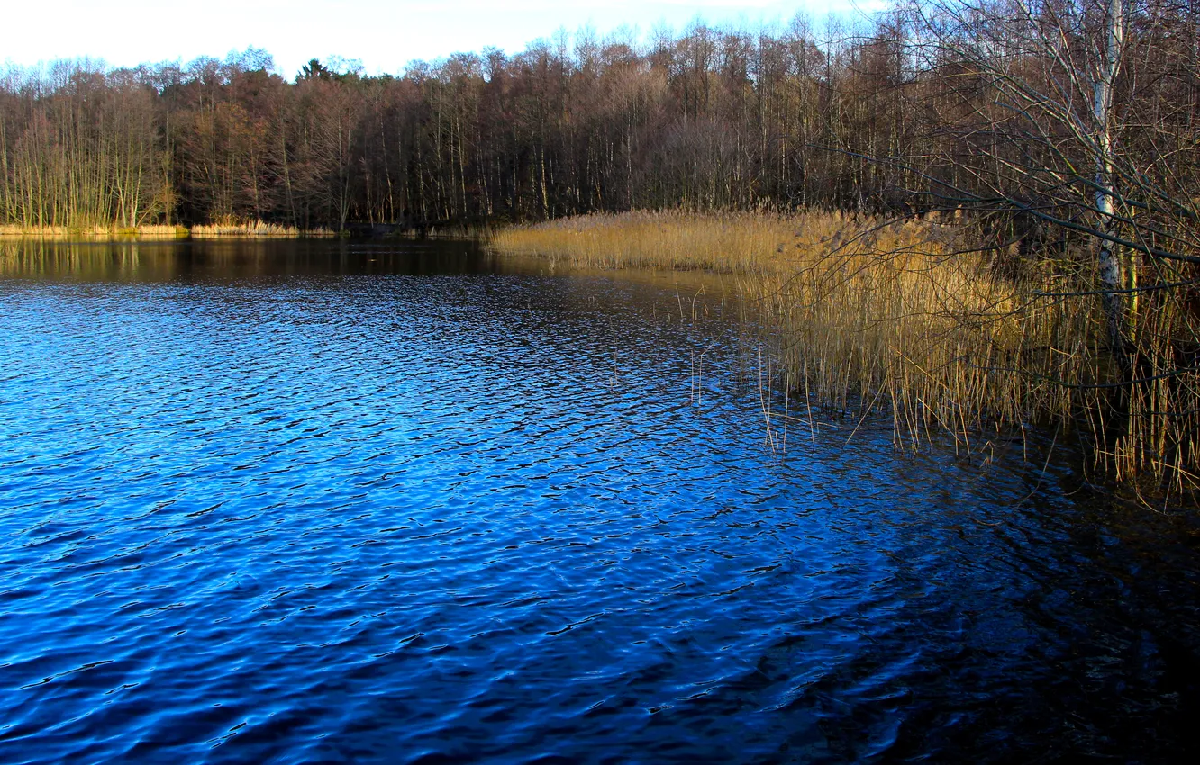 Фото обои water, lake, pond