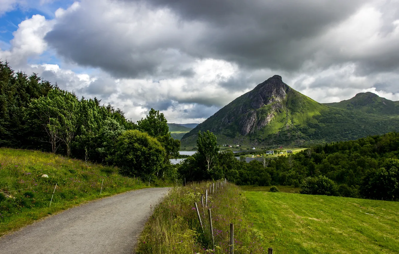 Фото обои дорога, зелень, трава, облака, деревья, горы, природа, Норвегия
