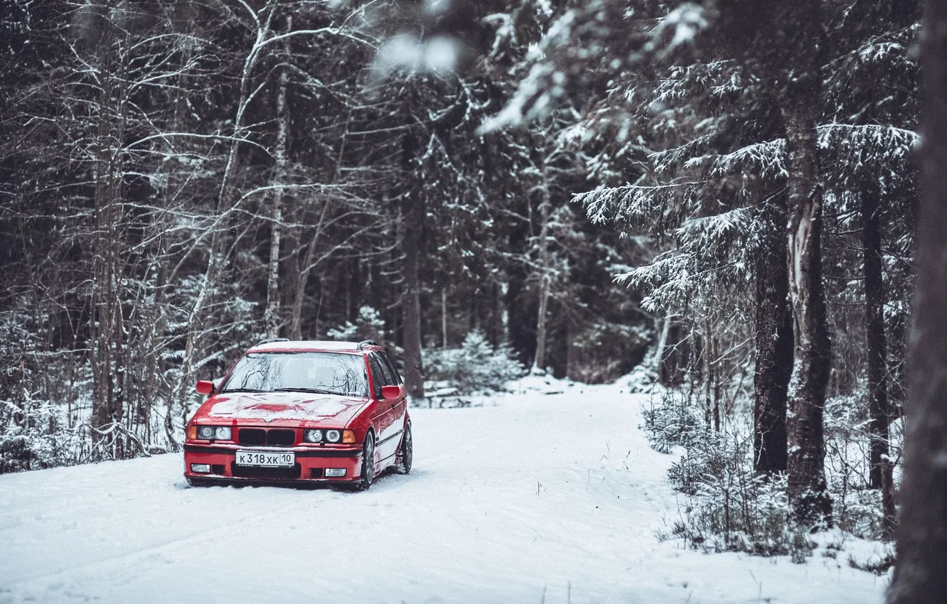 Фото обои Зима, Дорога, Деревья, Лес, BMW, BBS, 3 Series, E36