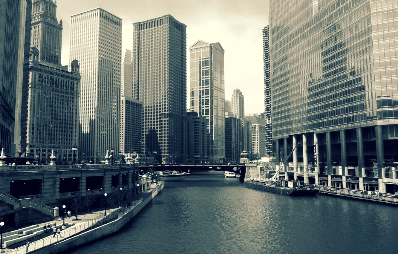 Фото обои река, здания, Chicago