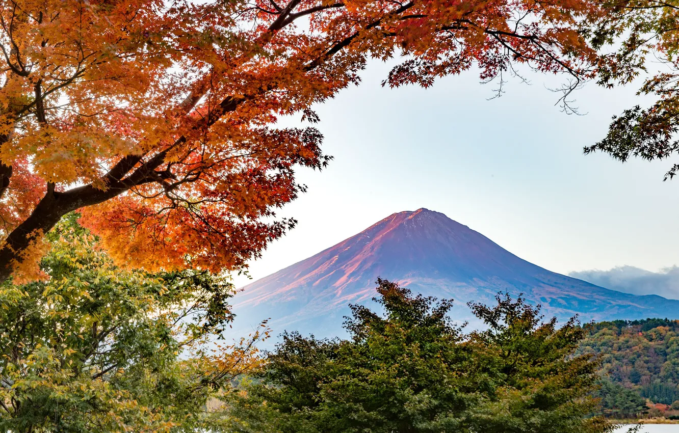 Фото обои осень, деревья, гора, вулкан