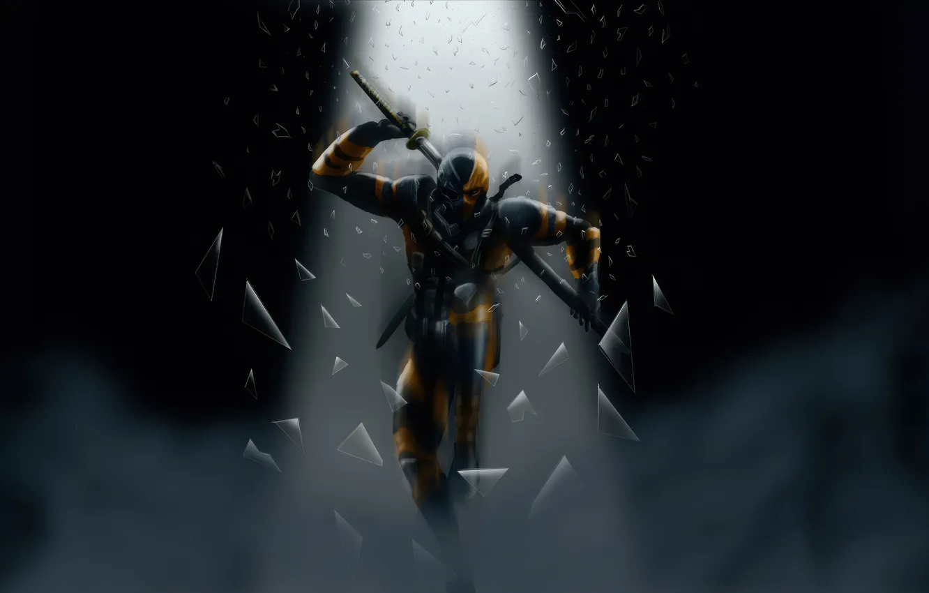 Фото обои madness, deathstroke
