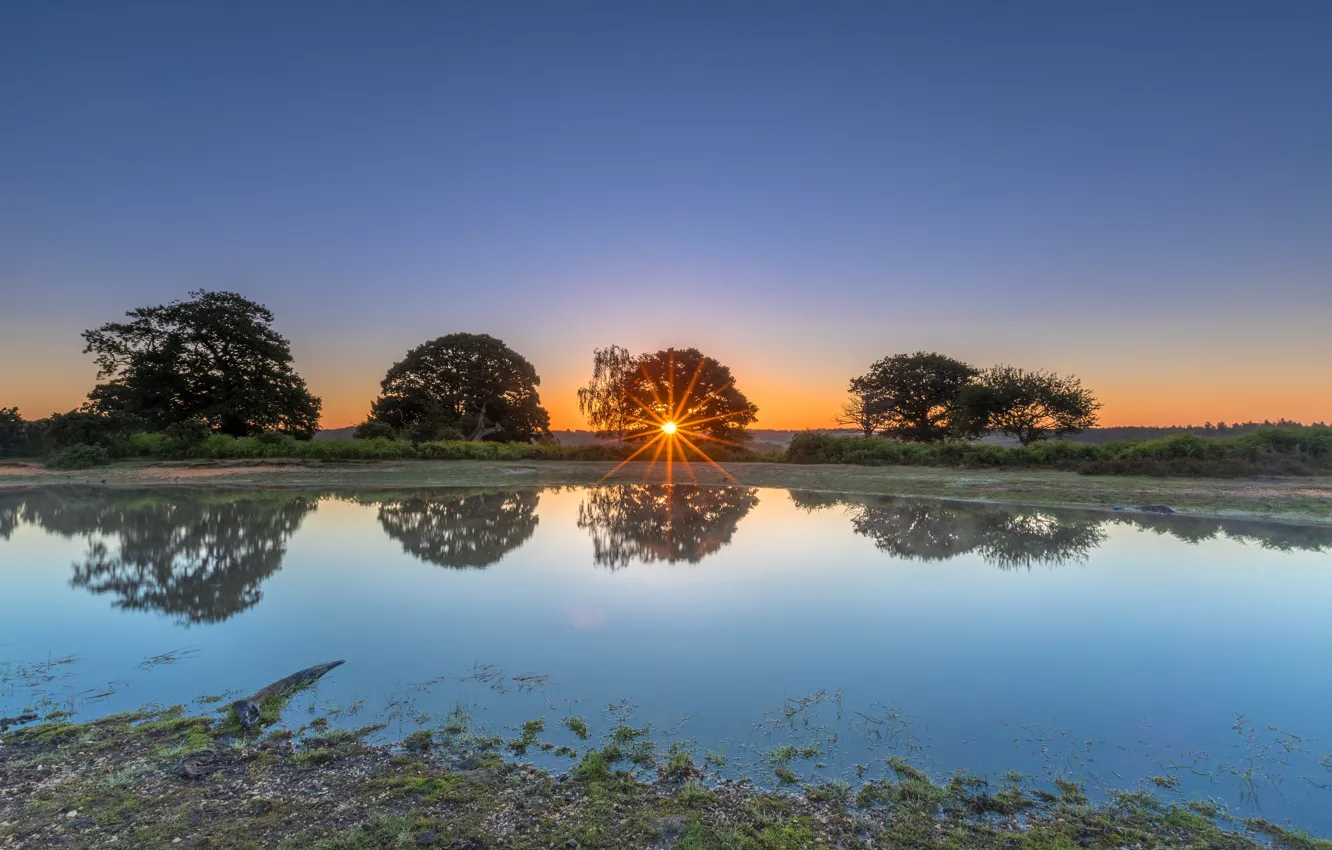 Фото обои солнце, лучи, деревья, закат, отражение, берег, водоем