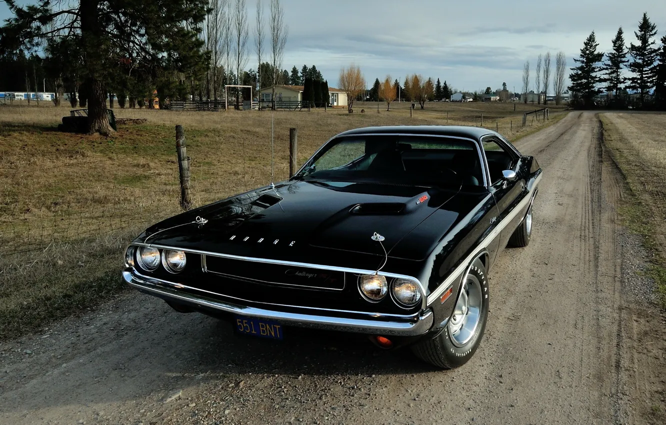 Фото обои фон, Додж, Dodge, Challenger, 1970, передок, Muscle car, Мускул кар