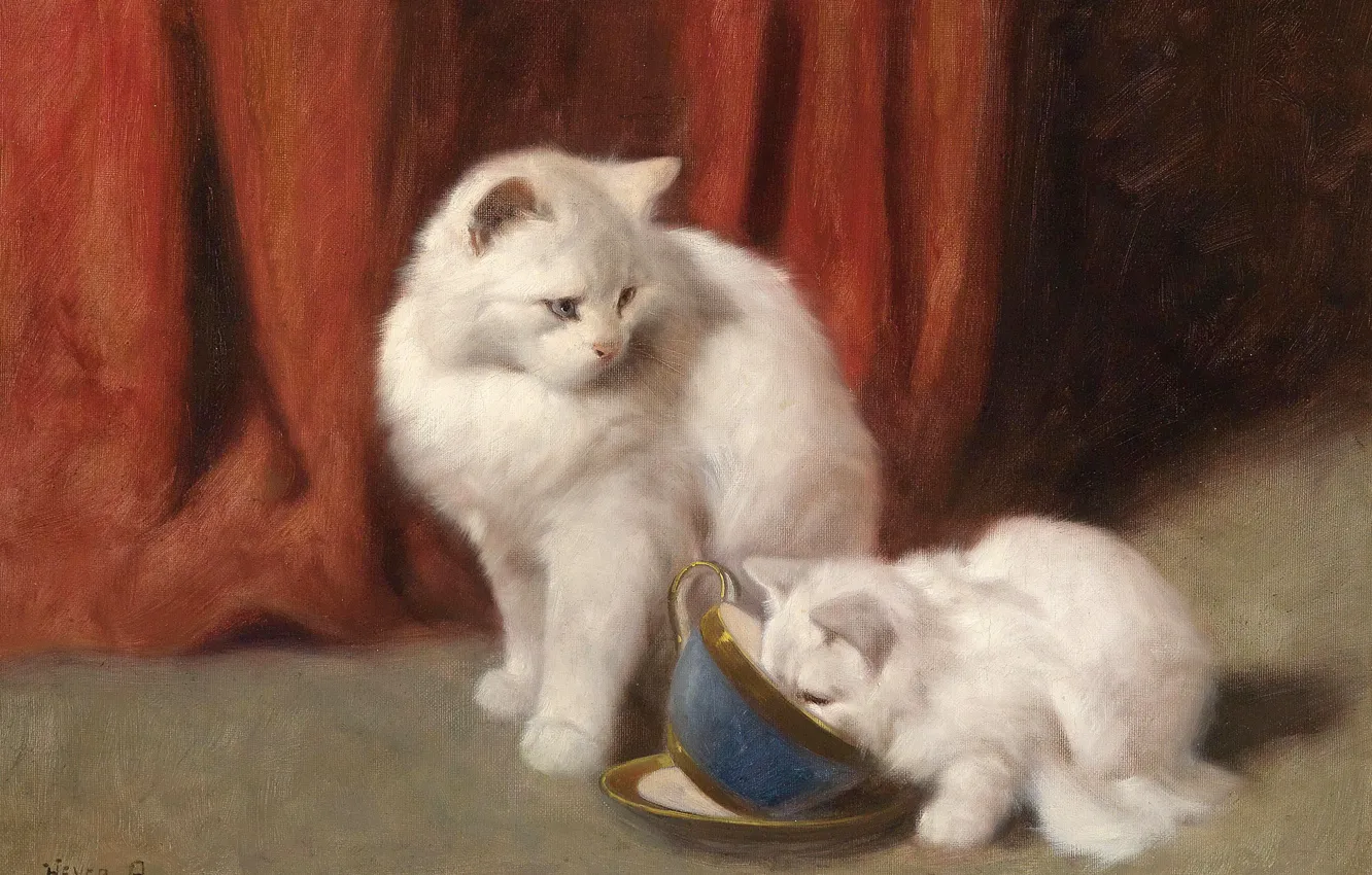 Фото обои кошка, картина, арт, белая, пушистая, Tea Time, Arthur Heyer