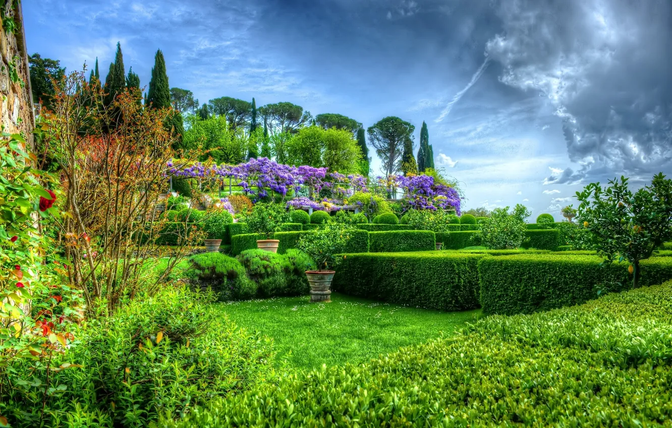 Фото обои деревья, парк, сад, Италия, кусты, Italy, Ла Фос, Villa La Foce