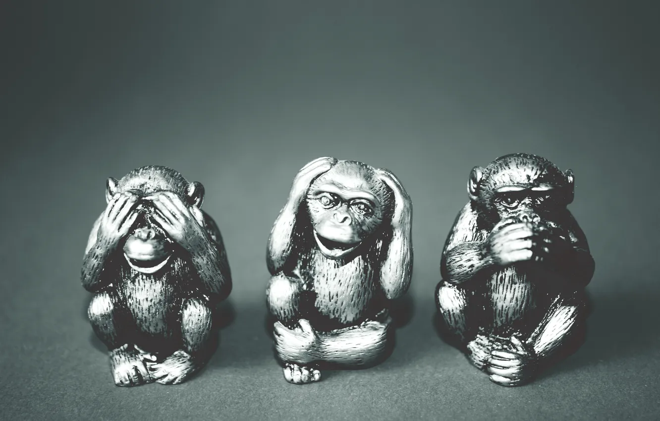 Фото обои monkeys, works of art, expressions