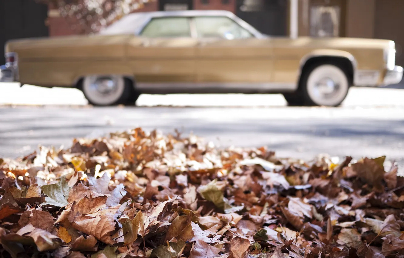 Фото обои машина, осень, листья, макро, ретро, опавшие, расплывчатый фон