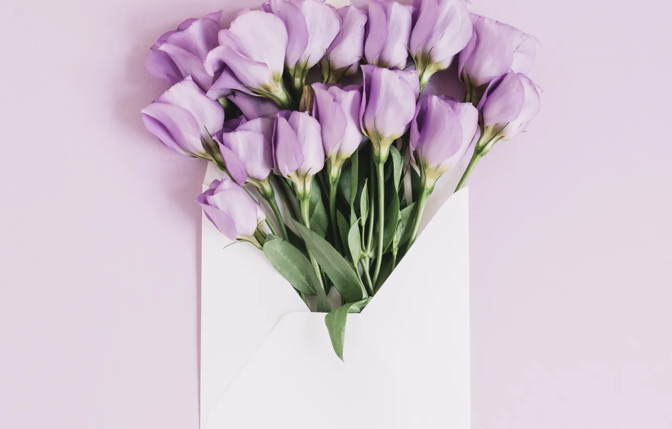 Фото обои цветы, фон, подарок, букет, Beautiful, pink, flowers, background