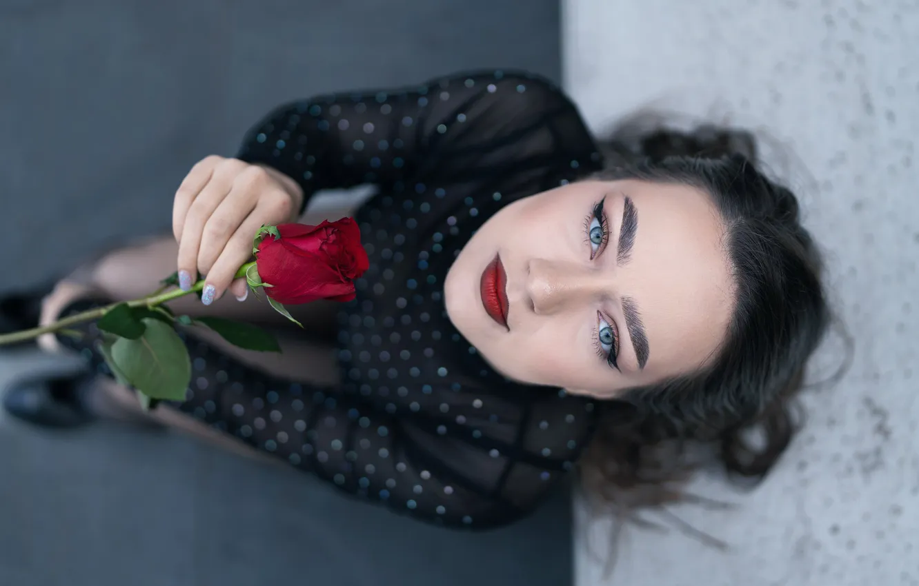 Фото обои девушка, розы, Cristina