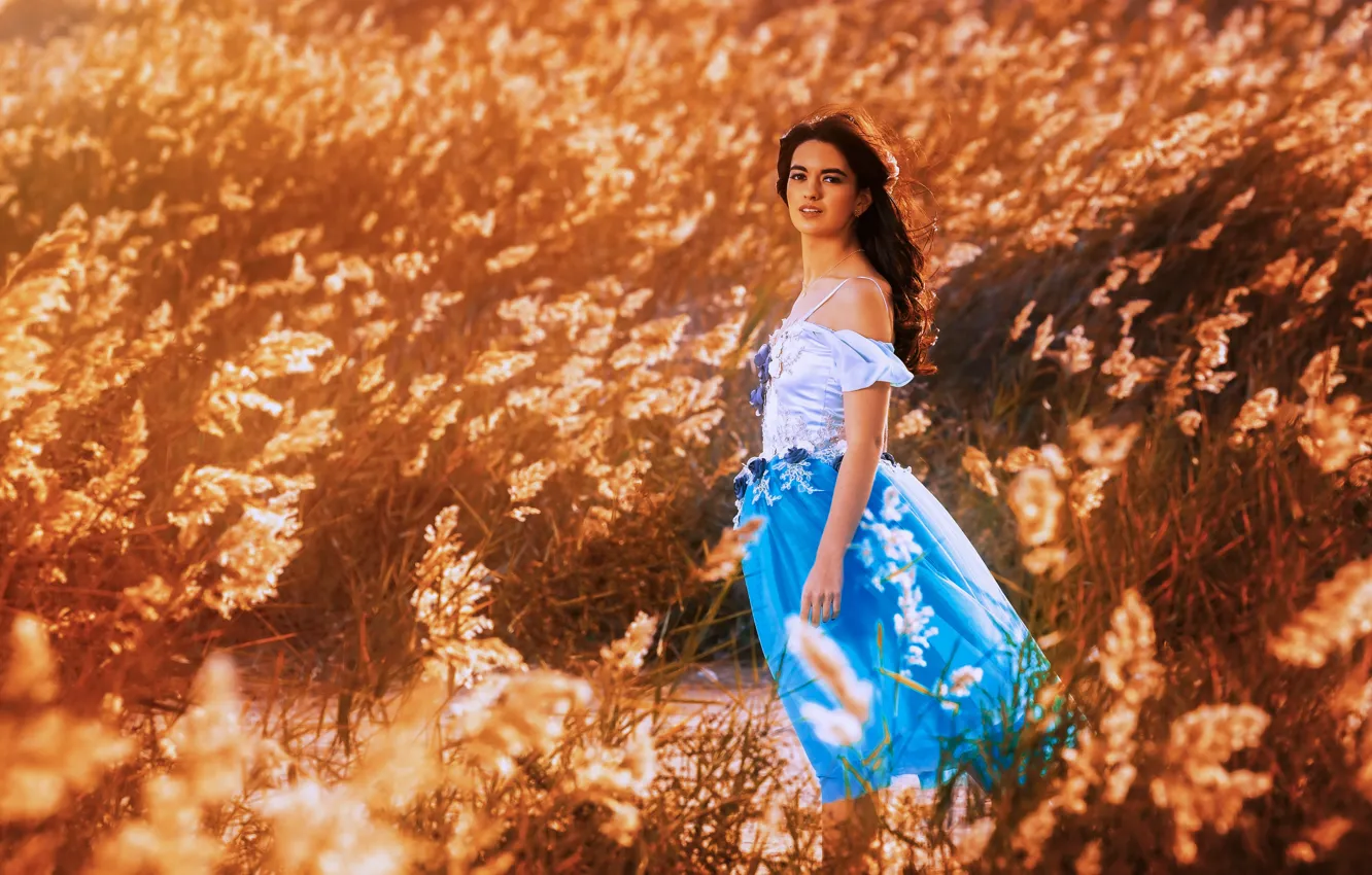 Фото обои девушка, природа, фон