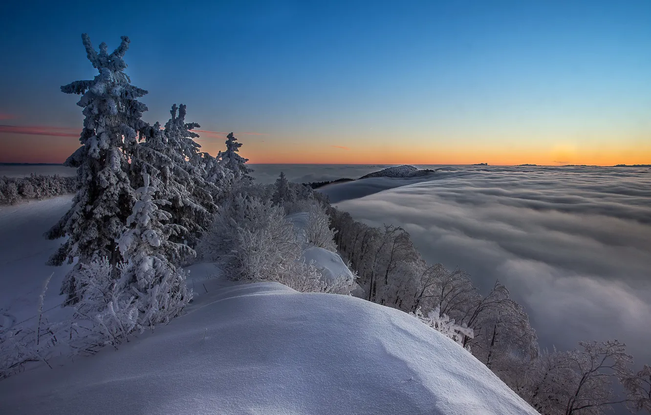 Фото обои зима, горы, ночь, дерево