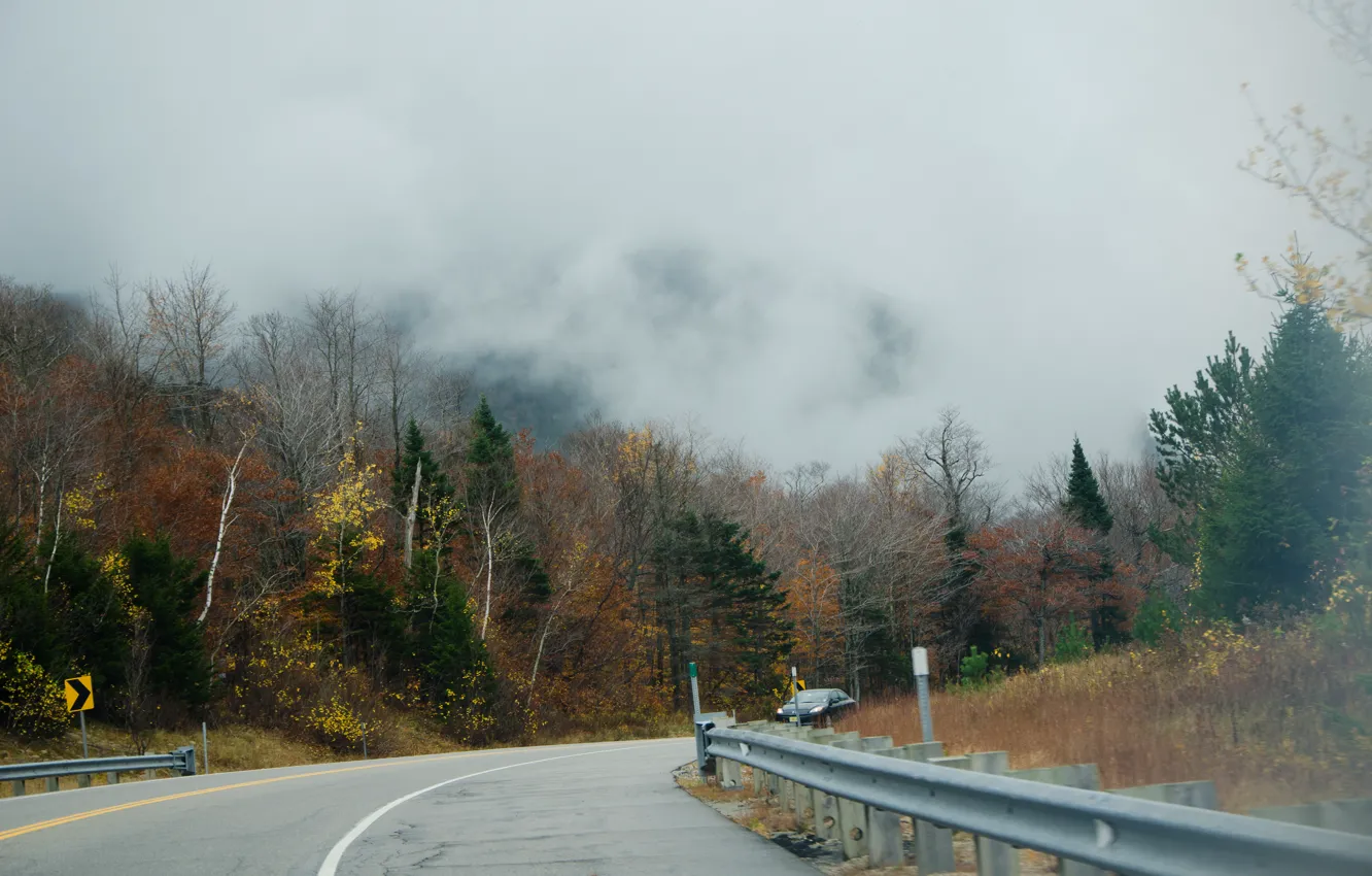 Фото обои дорога, туман, Осень, road, autumn, fog, fall