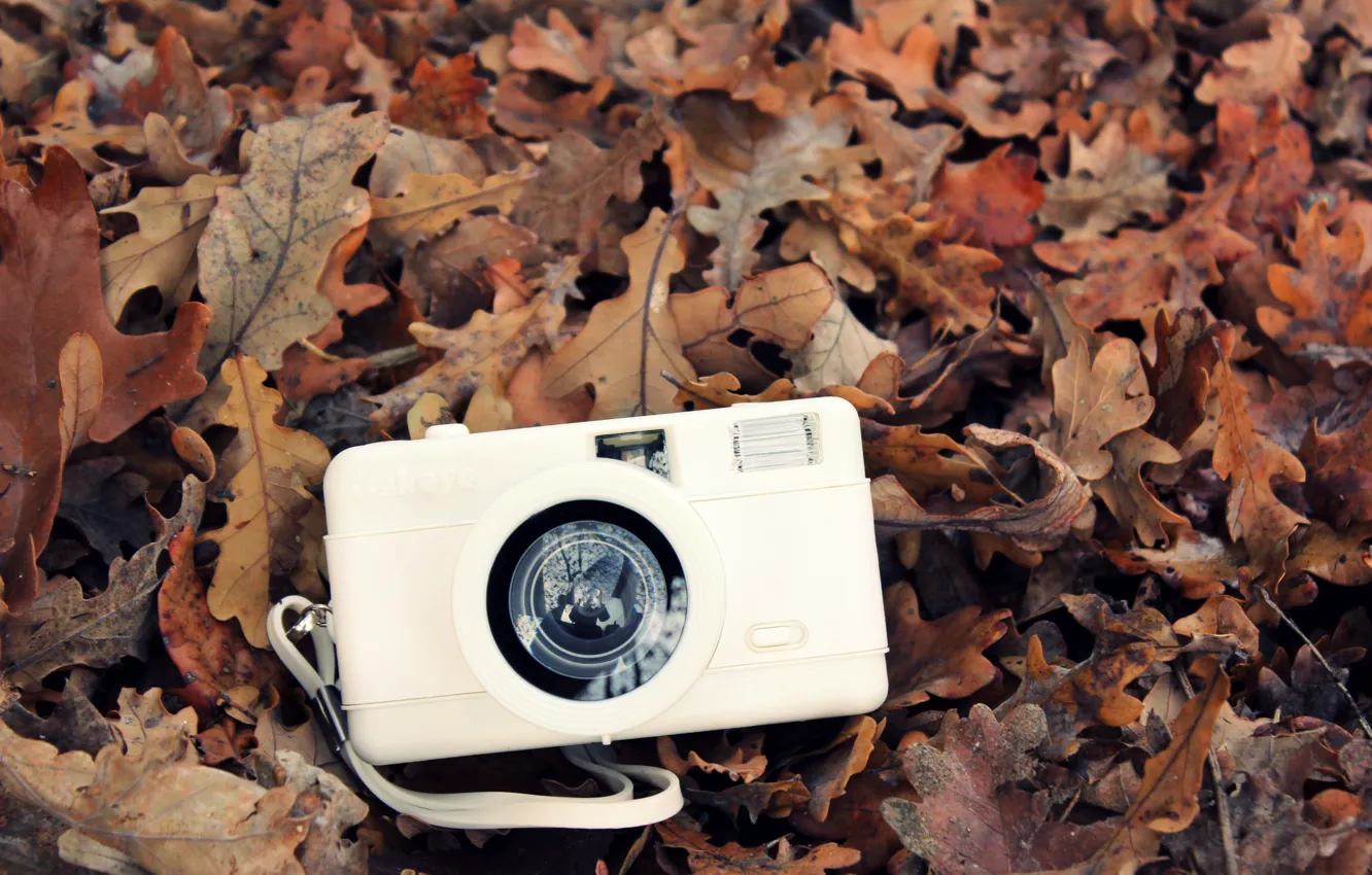 Фото обои осень, белый, листья, камера, фотоаппарат
