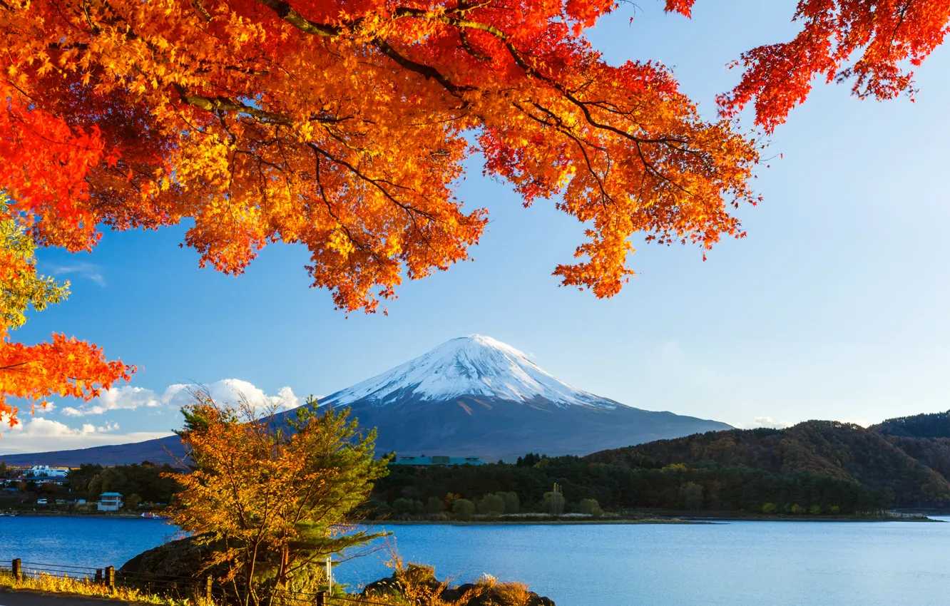 Фото обои осень, лес, небо, листья, снег, деревья, озеро, япония