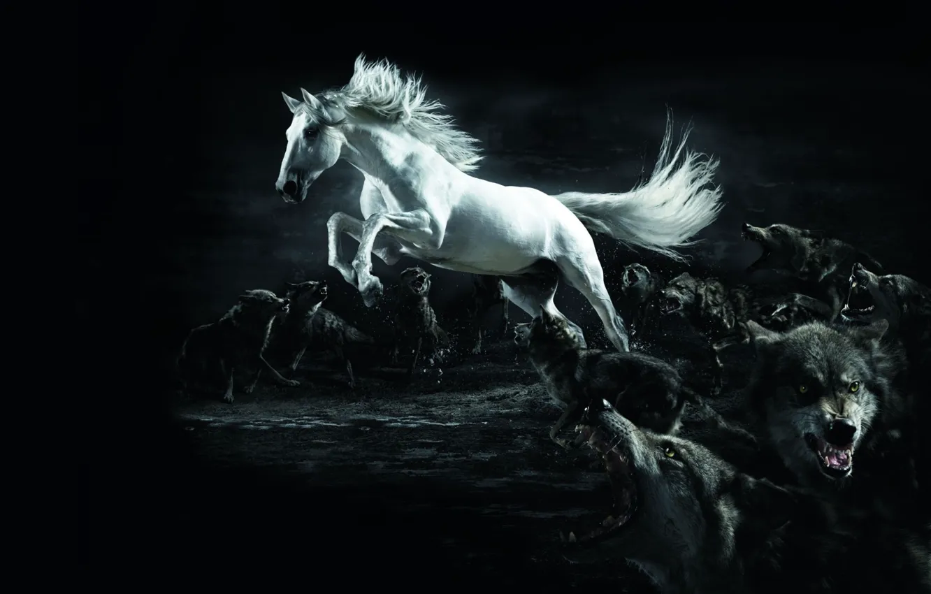 Фото обои белый, Конь, волки, полумрак, wolf, horse
