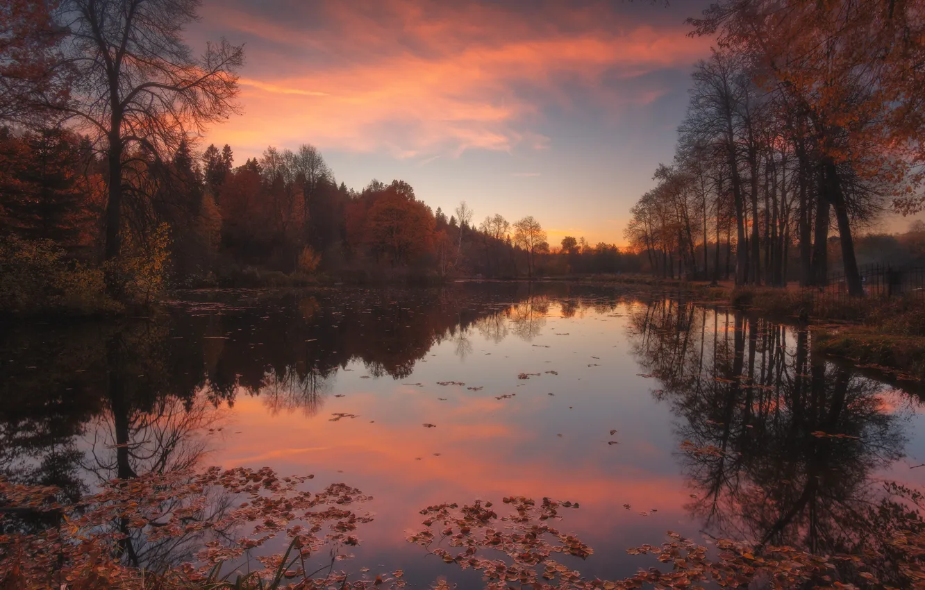 Фото обои осень, лес, пейзаж, закат, природа, озеро, пруд, Подмосковье