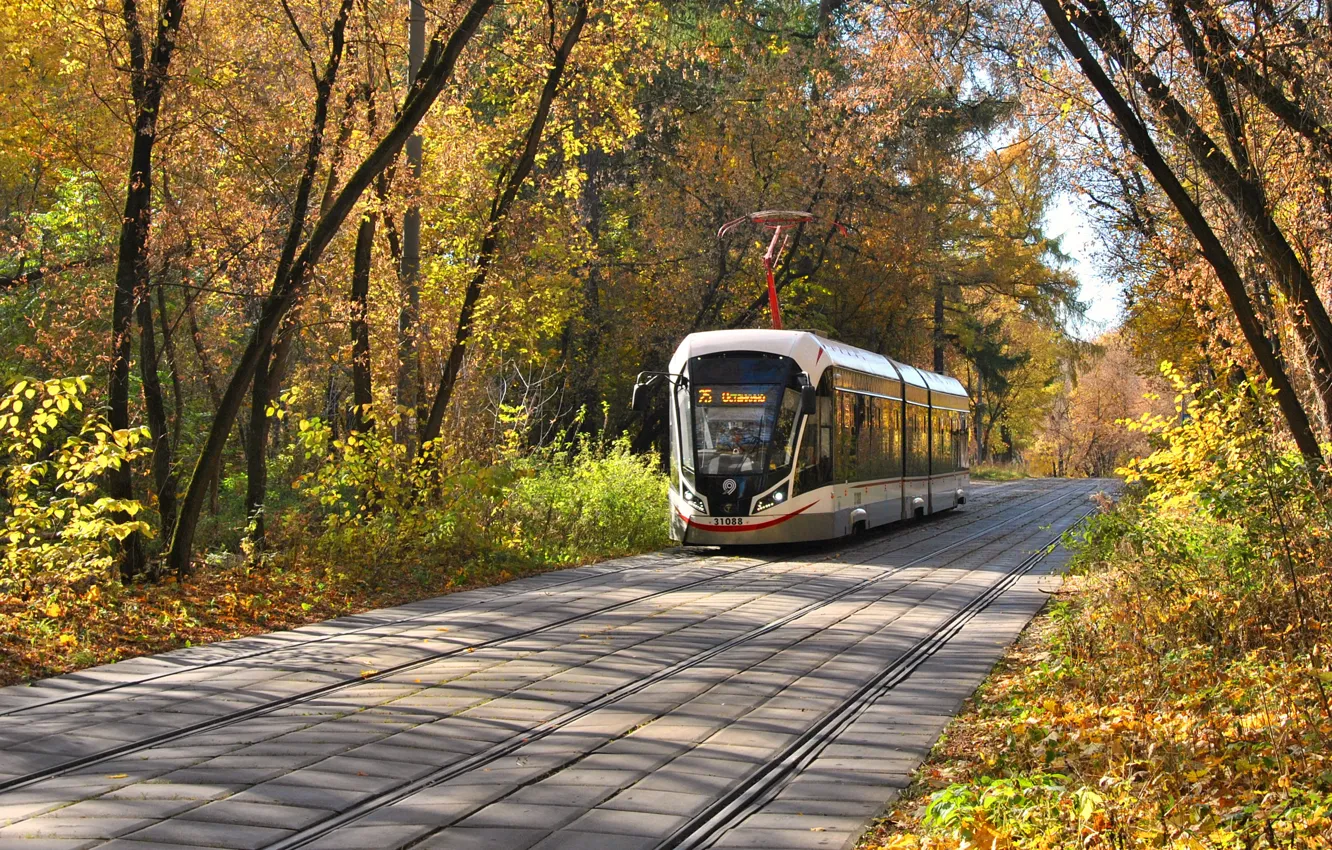 Фото обои осень, парк, трамвай