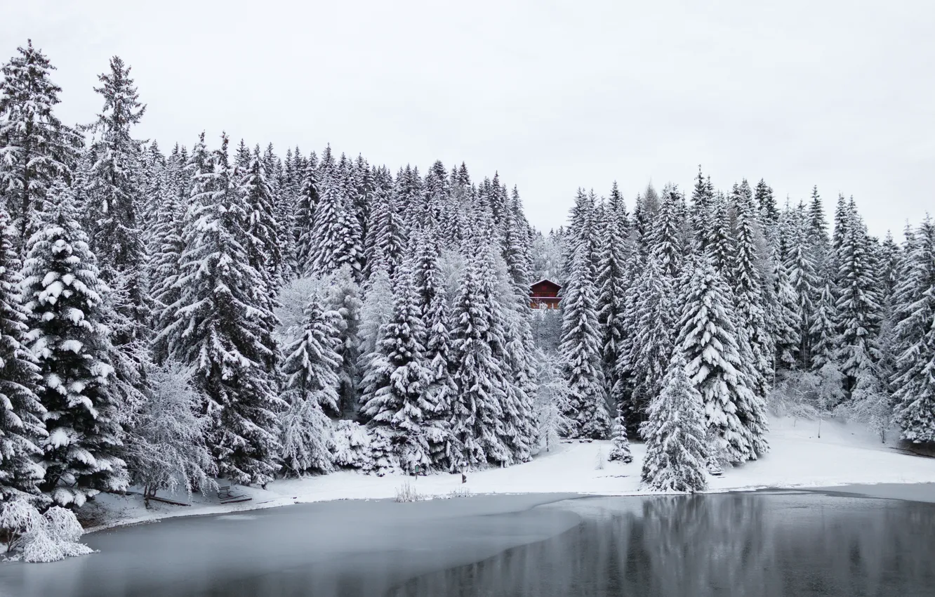 Фото обои зима, лес, снег, деревья, озеро, Швейцария, домик