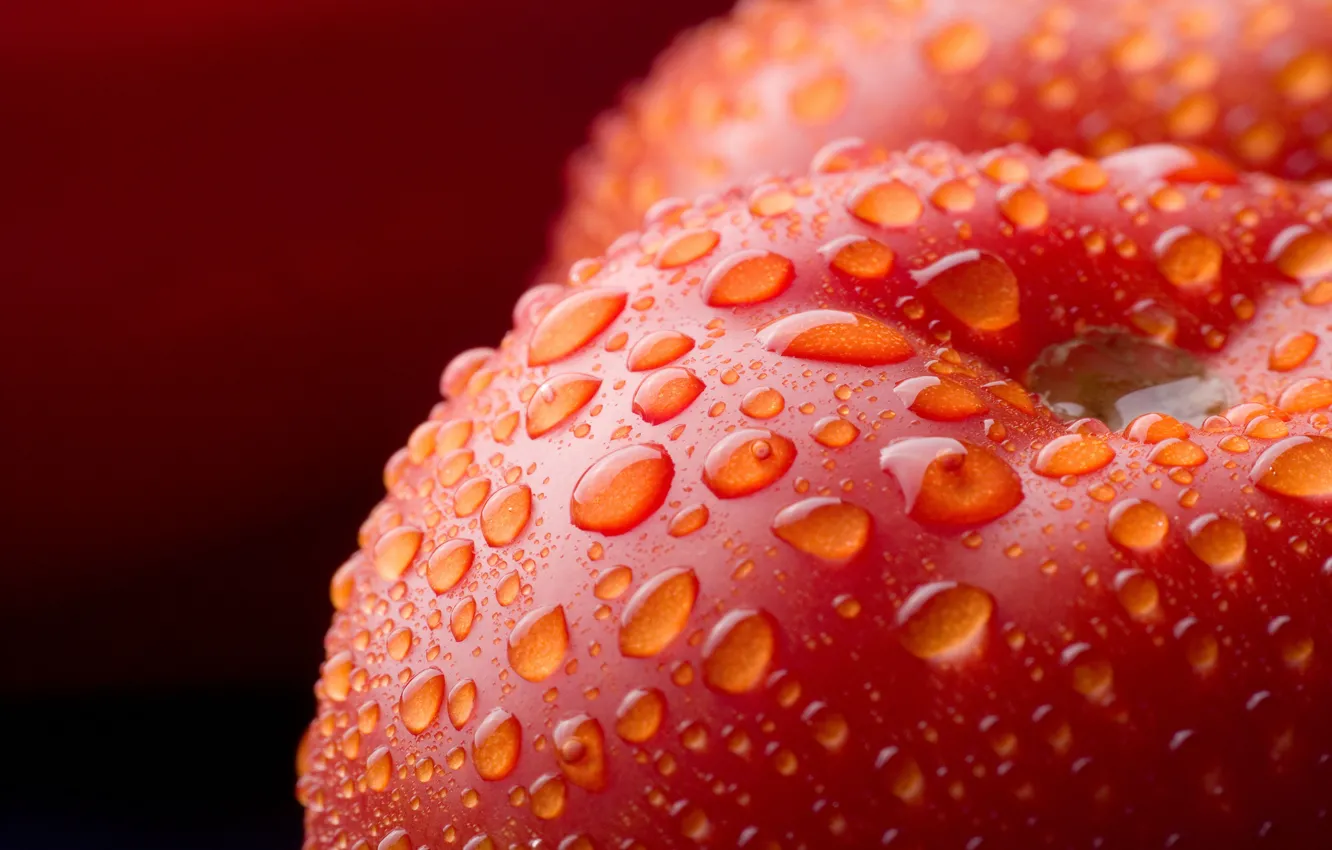 Фото обои Water, Drops, Tomatoes