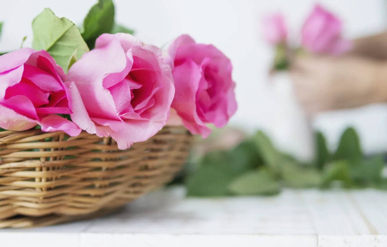 Фото обои розы, букет, корзинка, wood, roses
