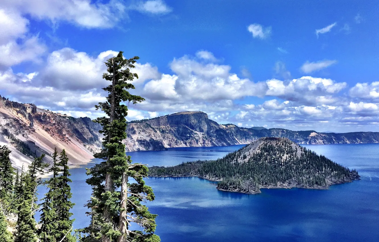 Фото обои деревья, остров, Орегон, Oregon, Crater Lake, Crater Lake National Park, Озеро Крейтер